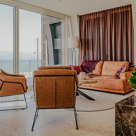 Shrimp Egmond aan Zee