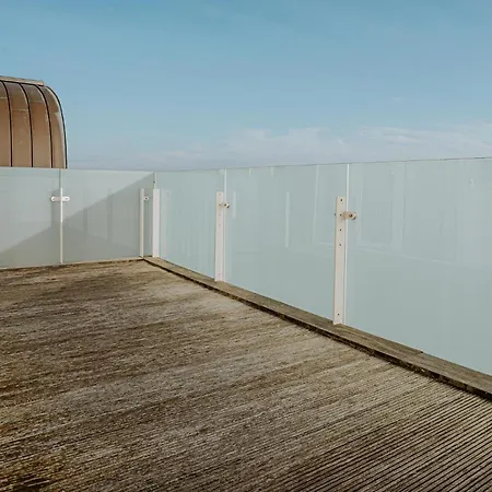 Shrimp Egmond aan Zee